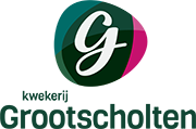 Grootscholten logo 26 5 180